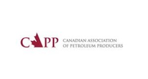 royalty review, Canadian Association of Petroleum Producers