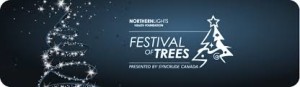 Festival of Trees, Northern Lights Health Foundation 