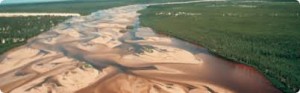 Athabasca Sand Dunes, Wood Buffalo 